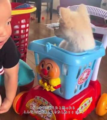 「楽しんでる？」