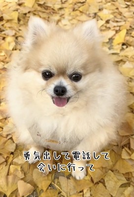 奇跡の出会いが幸せを呼び込みました