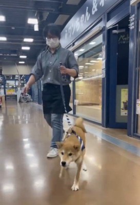 そらくんとの出会いとその後の様子5