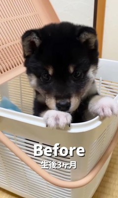 はるちゃんの成長2