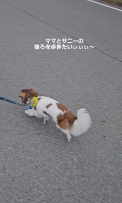 ママがいない…