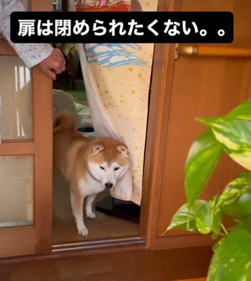 オヤツに釣られることはなかった