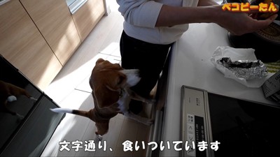 パパが出張から帰ってきた時のペコちゃん5