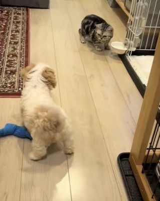 みるちゃんを発見!