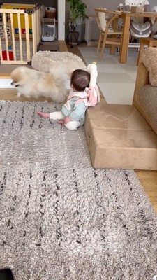 女の子の近くを駆け回る犬