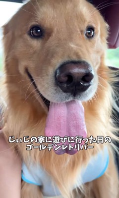 車で移動中のアルトくん