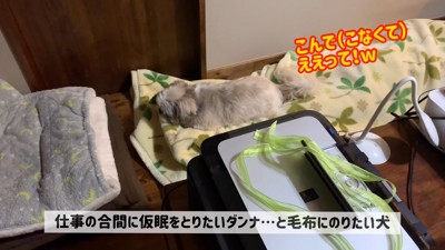 仮眠を取りたいパパさんですが…