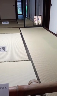 名前を呼んでみたら…?