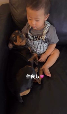 ビトくんと赤ちゃん