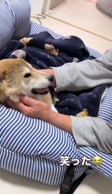 穏やかな笑顔で家族を見る