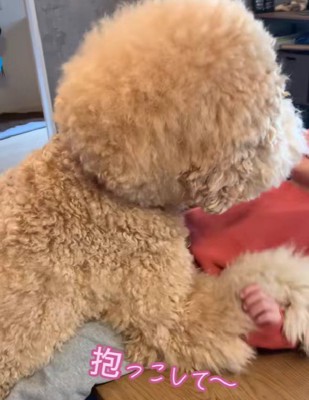 微笑ましい光景にホッコリ