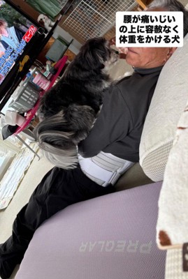 ニウちゃんとおじいちゃん8