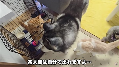自力で脱出した