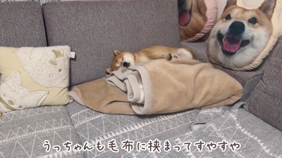 大満足のうにくんでした