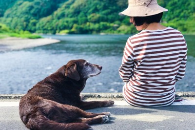 見つめ合う老犬と女性