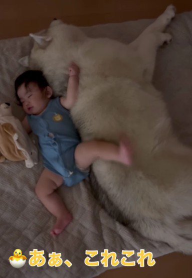 「これこれ♡」