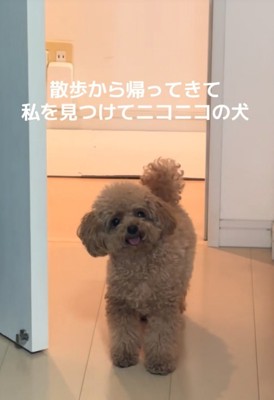ニコニコする犬