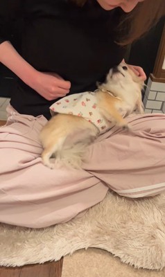 こはくちゃんとお姉ちゃんの再会5