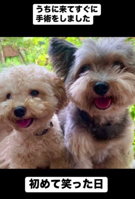 スノーちゃんとの出会い