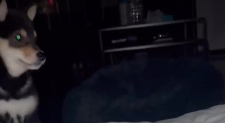 深夜にトイレに行ったら…