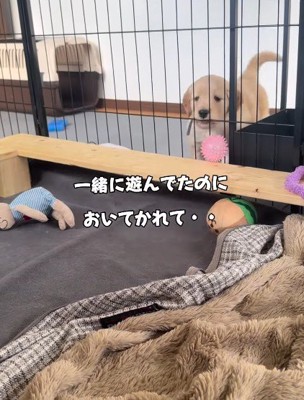 「置いて行かれた…」
