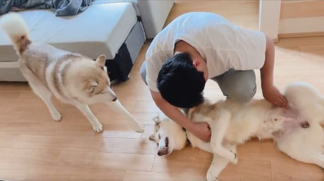 撫で撫でタイム