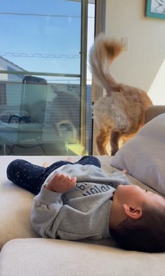mellowくんに足を踏まれた男の子⑩