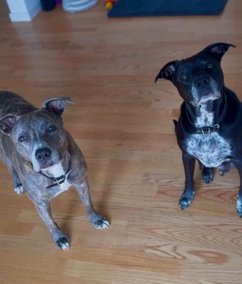 血が繋がっていないけど…