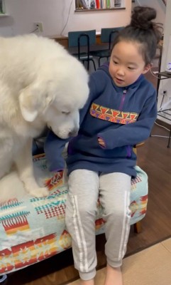 サンちゃんと女の子のやり取り