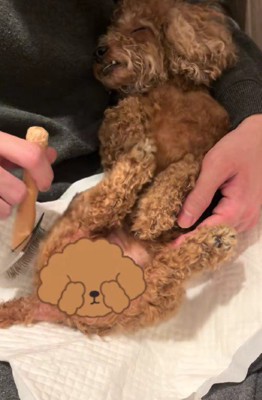 マッサージの時間も好き