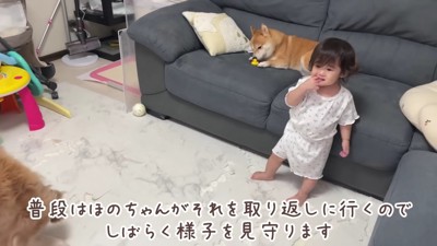 うにくんに持っていかれちゃった!