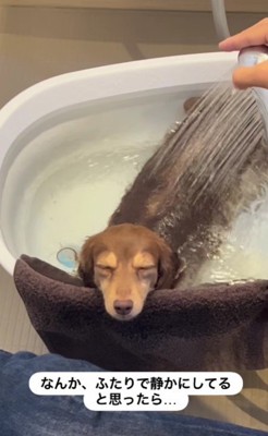 愛を感じるワンシーンでした