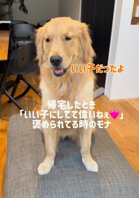 得意気な顔でお出迎え