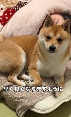 優しさにほっこり♪