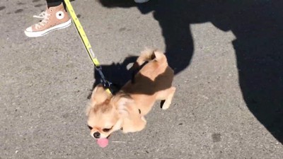 元気いっぱいに帰宅