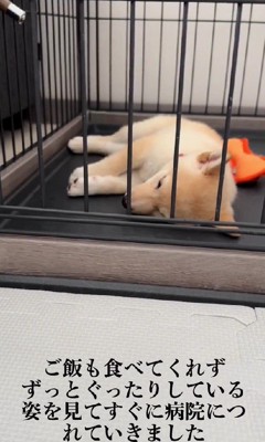 動かなくなってしまった