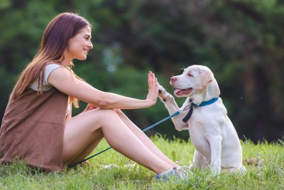 飼い主の女性と手を合わせる犬