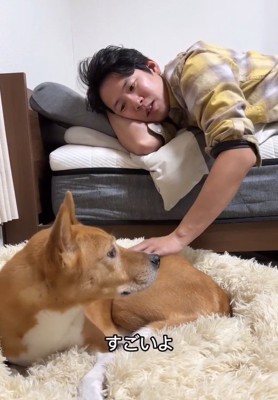 明智くんを撫でる飼い主さん