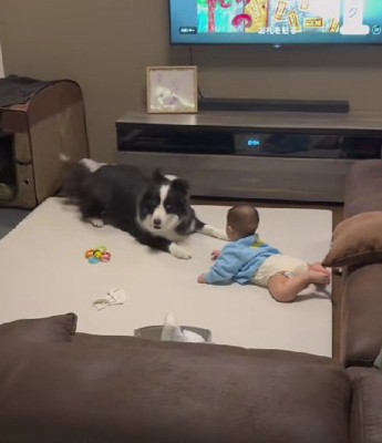 静かに見つめる赤ちゃん