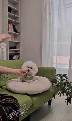 弾き語りを聴くメロンさん9