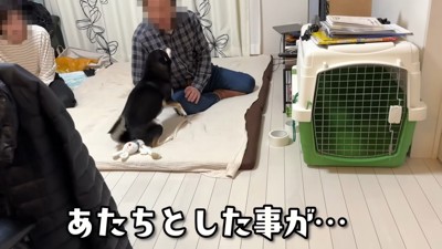 「ハッ!つい甘えてしまった…」