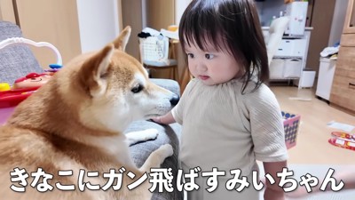 「お前も片付けろ」