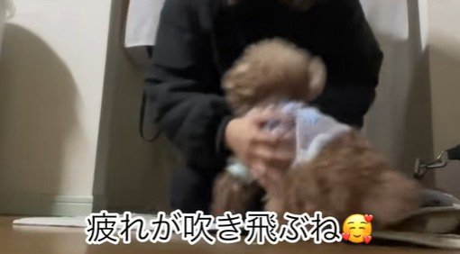 ちびちゃんのお出迎え9