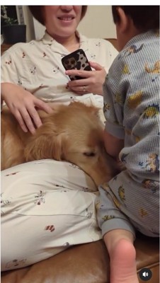 目をつぶっている大型犬の顔の前に後ろ姿の子供