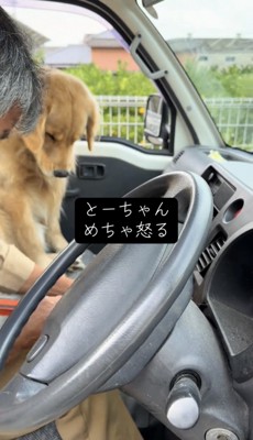 車内でうつむいている犬と男の人