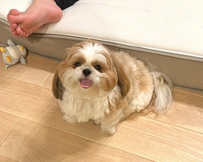 魅力いっぱいのぽこちゃんでした