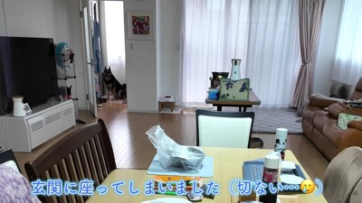玄関で寂しそう…