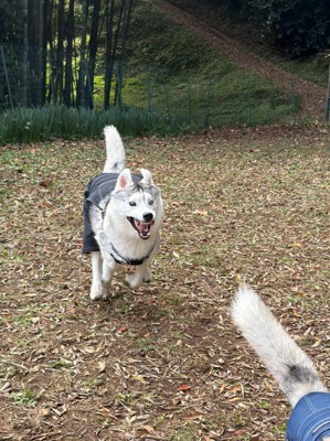 夢中になりすぎて…