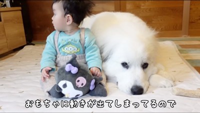 遠くを見つめる赤ちゃんと、赤ちゃんの隣で伏せをしている犬