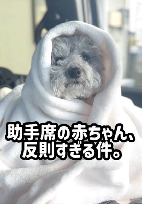 とっても寒がりなたろうまるちゃん